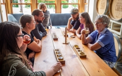 Cider Tasting